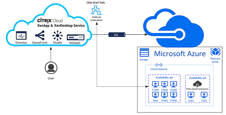 Citrix Virtualisation Example